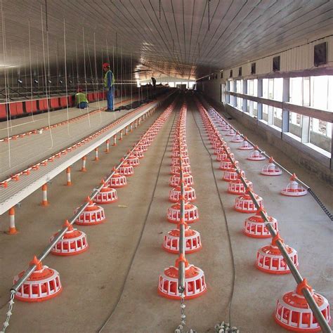 Manufacturer of Poultry, Agriculture & Farm Supplies .